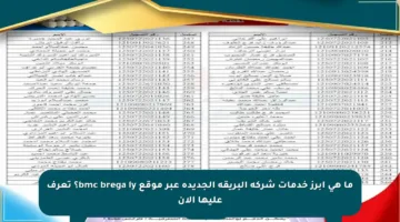 ما هي أبرز خدمات شركة البريقة الجديدة عبر موقع bmc brega ly؟ تعرف عليها الآن